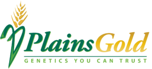 bf99014c-775a-423b-a38a-e334c123b1af