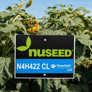 N4H422 CL Sunflower Field and sign
