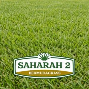 Sahara 2 Bermuda Grass Field
