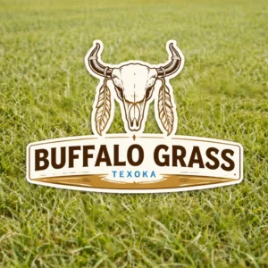 Texoka Buffalo Grass Field