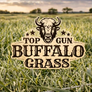 Top Gun Buffalo Grass Field
