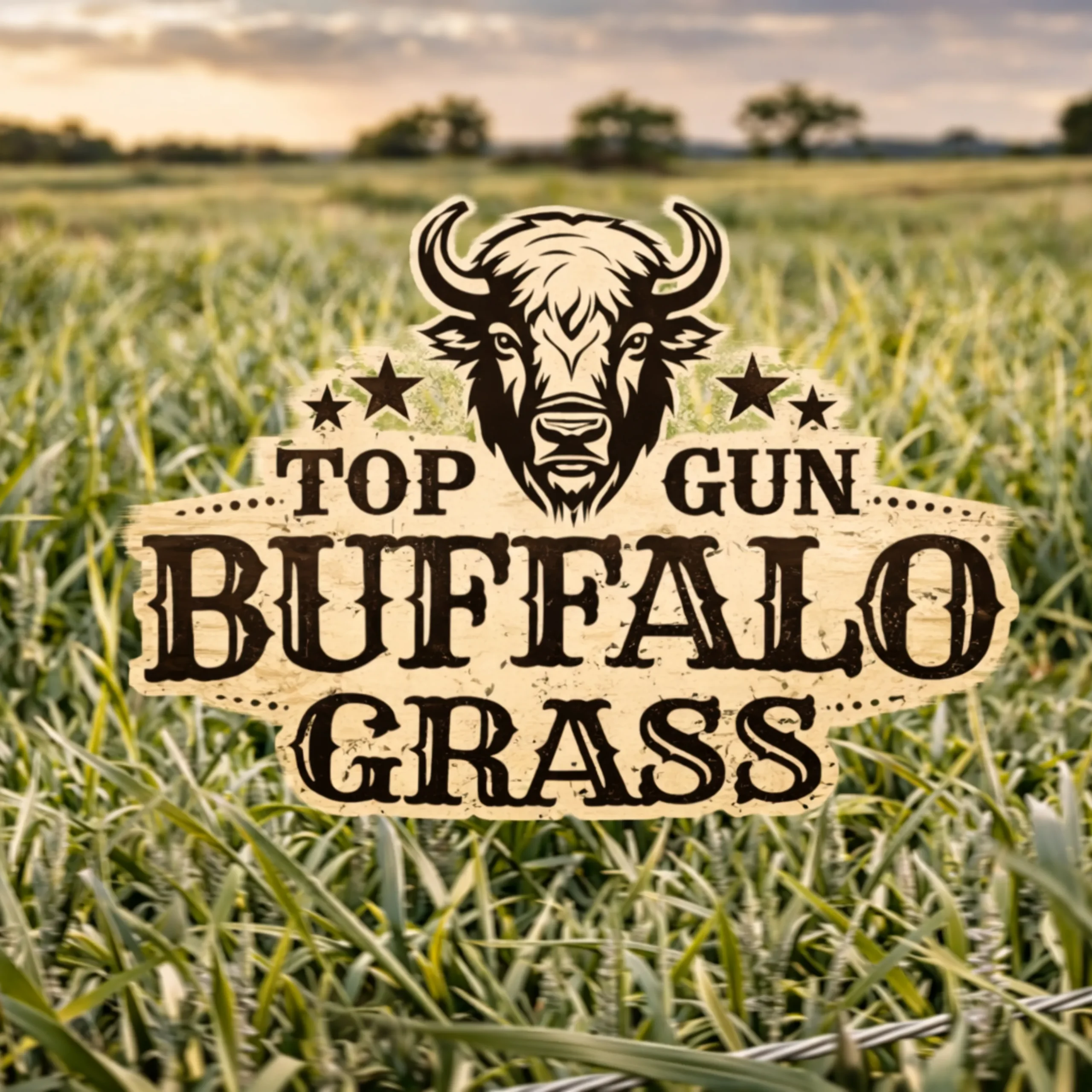 Top Gun Buffalo Grass Field