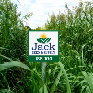JSS 100 Sorghum Sudangrass