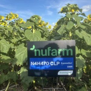 NuSeed N4H470 CLP High Oleic Sunflower Clearfield Plus Herbicide Tolerant Sunflower Sign