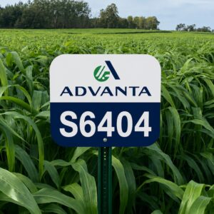 ADV S6404 Sorghum Sudangrass