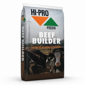 13% Beef Builder bag
