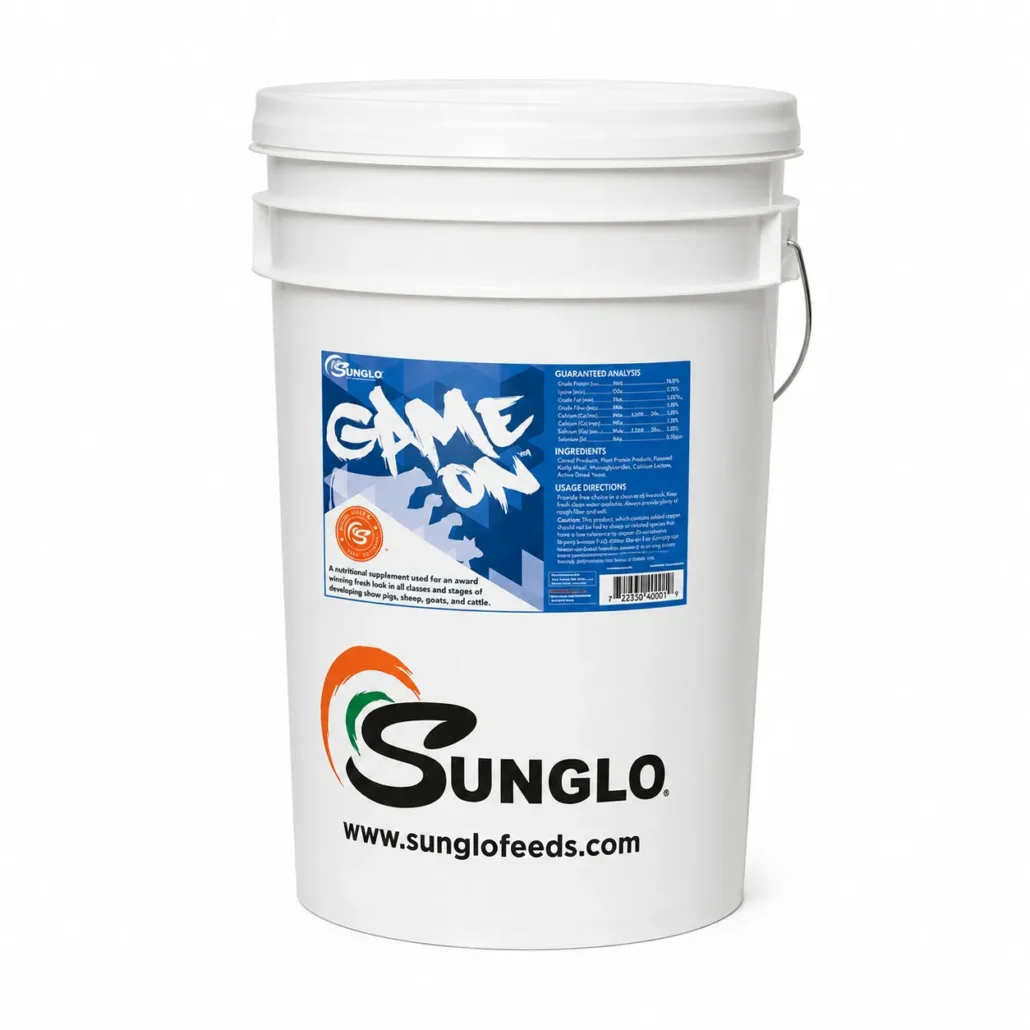 Sunglo Game on Bucket