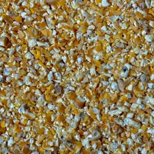 Cracked Corn