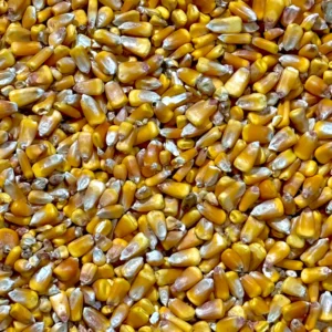 Deer Corn