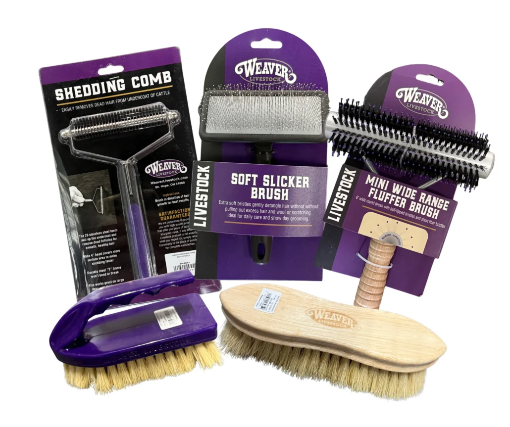 Brushes and Combs