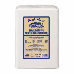 Ranch House Salt Block