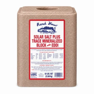 Ranch House Trace Mineral Block with Iodine