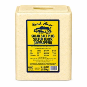 Ranch House Yellow Salt Block