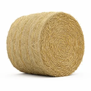 Beardless Wheat Hay Bale