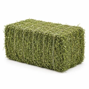 Aflalfa Small Square Hay Bale